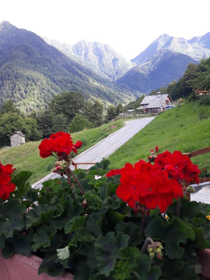 Casa All'Alpe Anzino 外观 照片