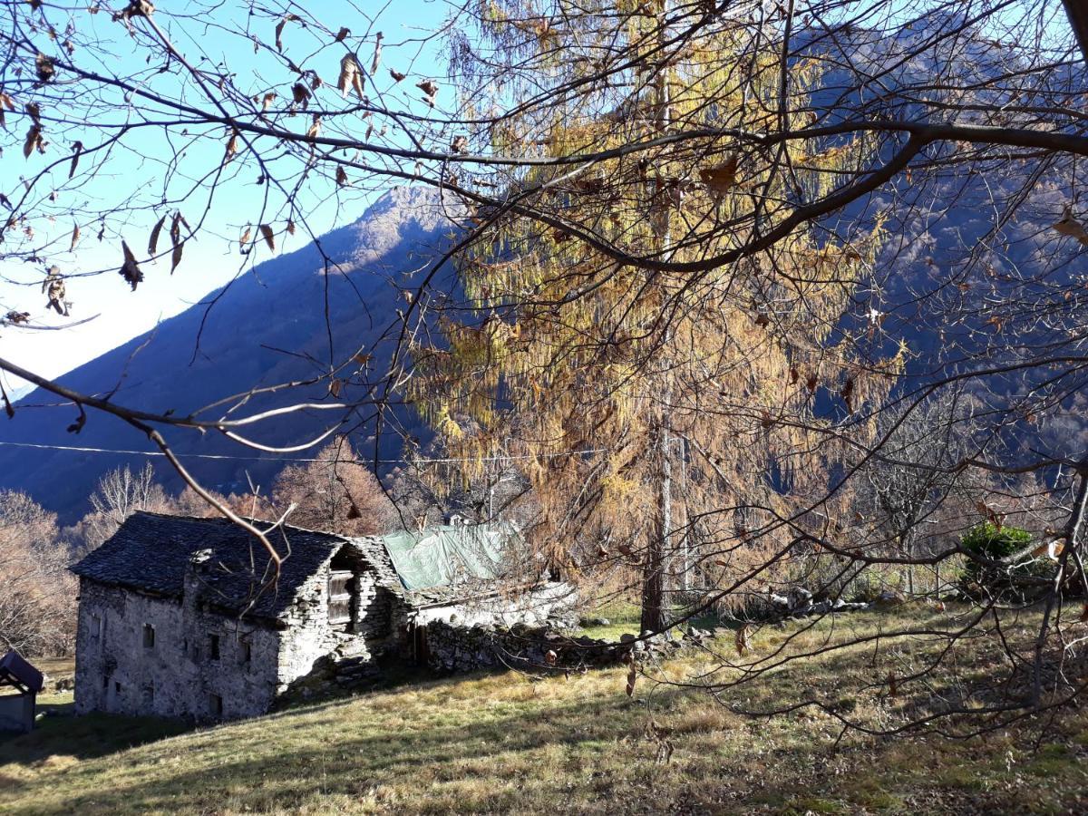 Casa All'Alpe Anzino 外观 照片
