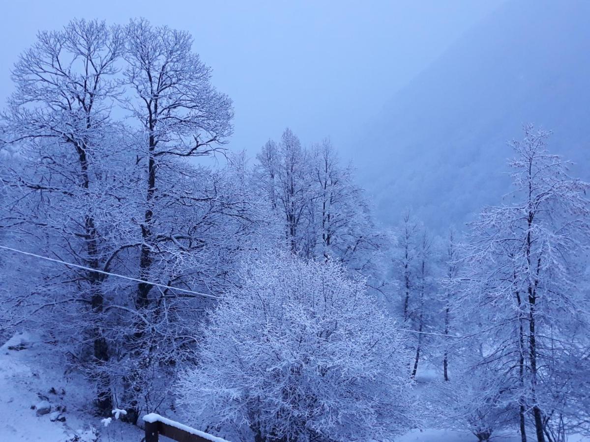 Casa All'Alpe Anzino 外观 照片