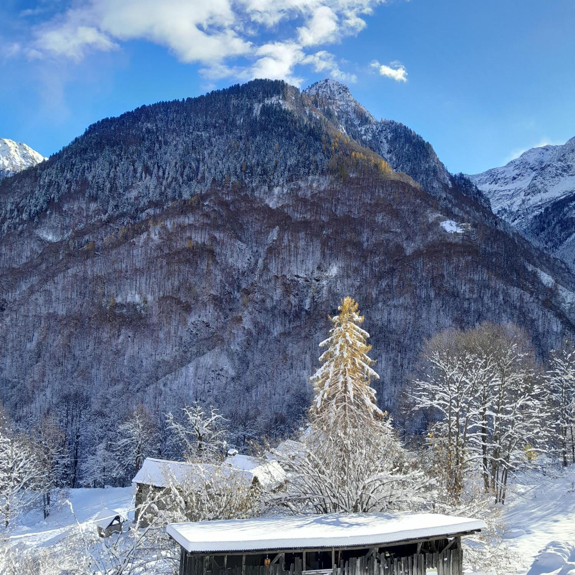 Casa All'Alpe Anzino 外观 照片